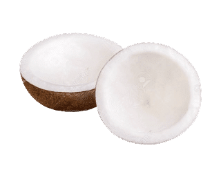 coconut-